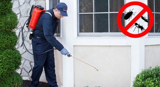 Ortaca Dezenfeksiyon böcek ilaçlama ve haşere kontrolü — ilaclama-tr.com